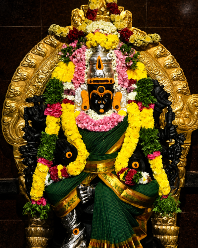 அருள்தரும் கருமாரியம்மன் மூலவர் திருவுருவம்